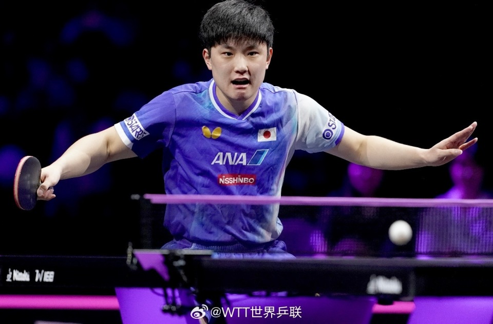 如何去适应, 张本智和被