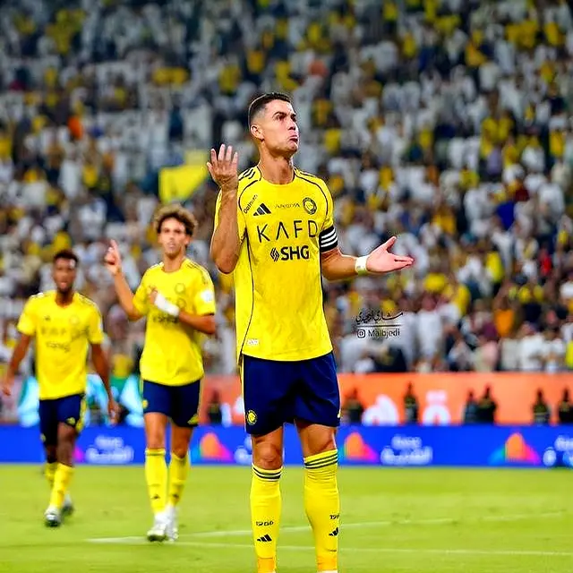 队友们将继, entit