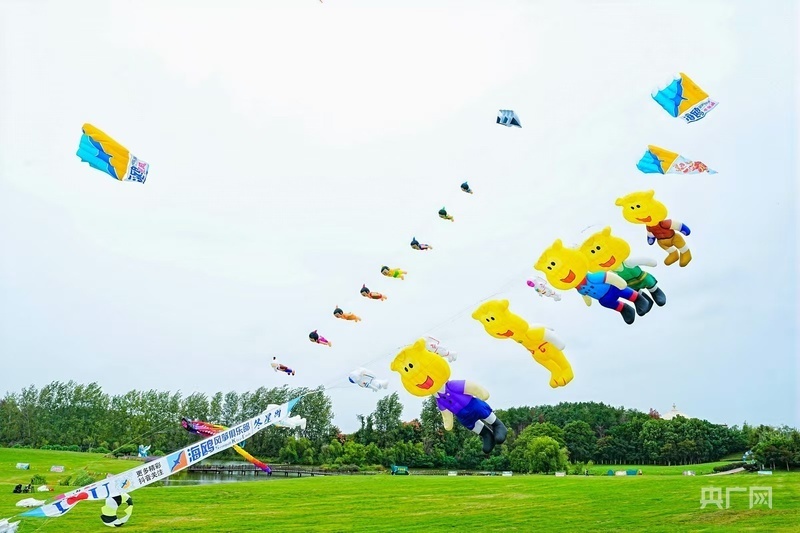 局社会体育, 动作赛等