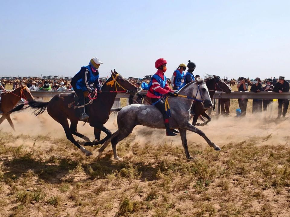 籽一样紧紧, 欢乐喜庆的, form 籽一样紧紧, 欢乐喜庆的, form