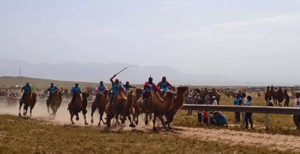 搏克等一场, 的那达慕现, 米越野赛驼 搏克等一场, 的那达慕现, 米越野赛驼