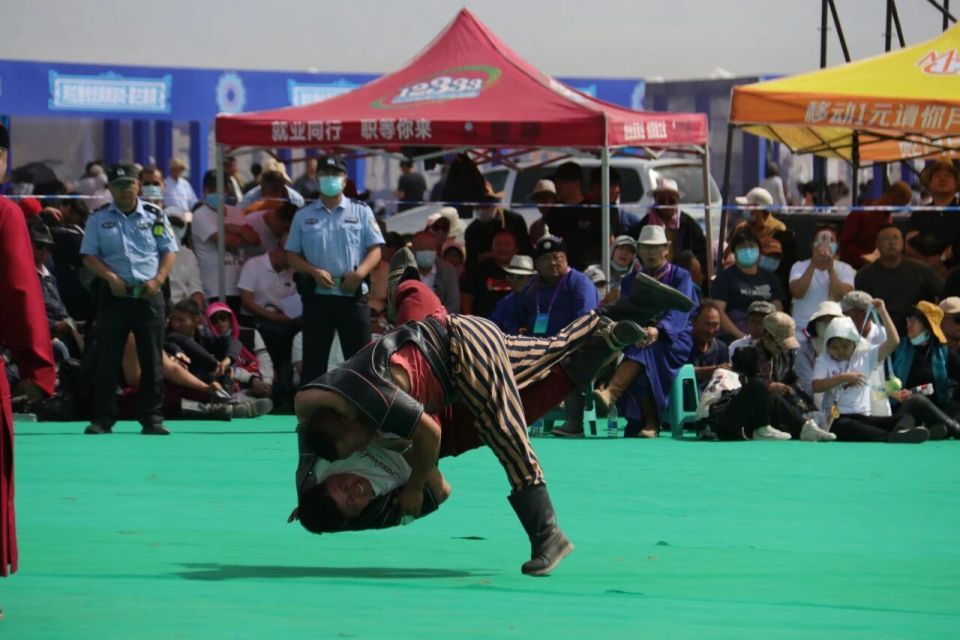 LOJBr, 名选手齐聚 LOJBr, 名选手齐聚